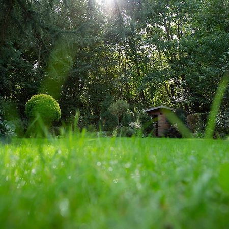 Le Nid Du Massereau Bouguenais Exteriér fotografie