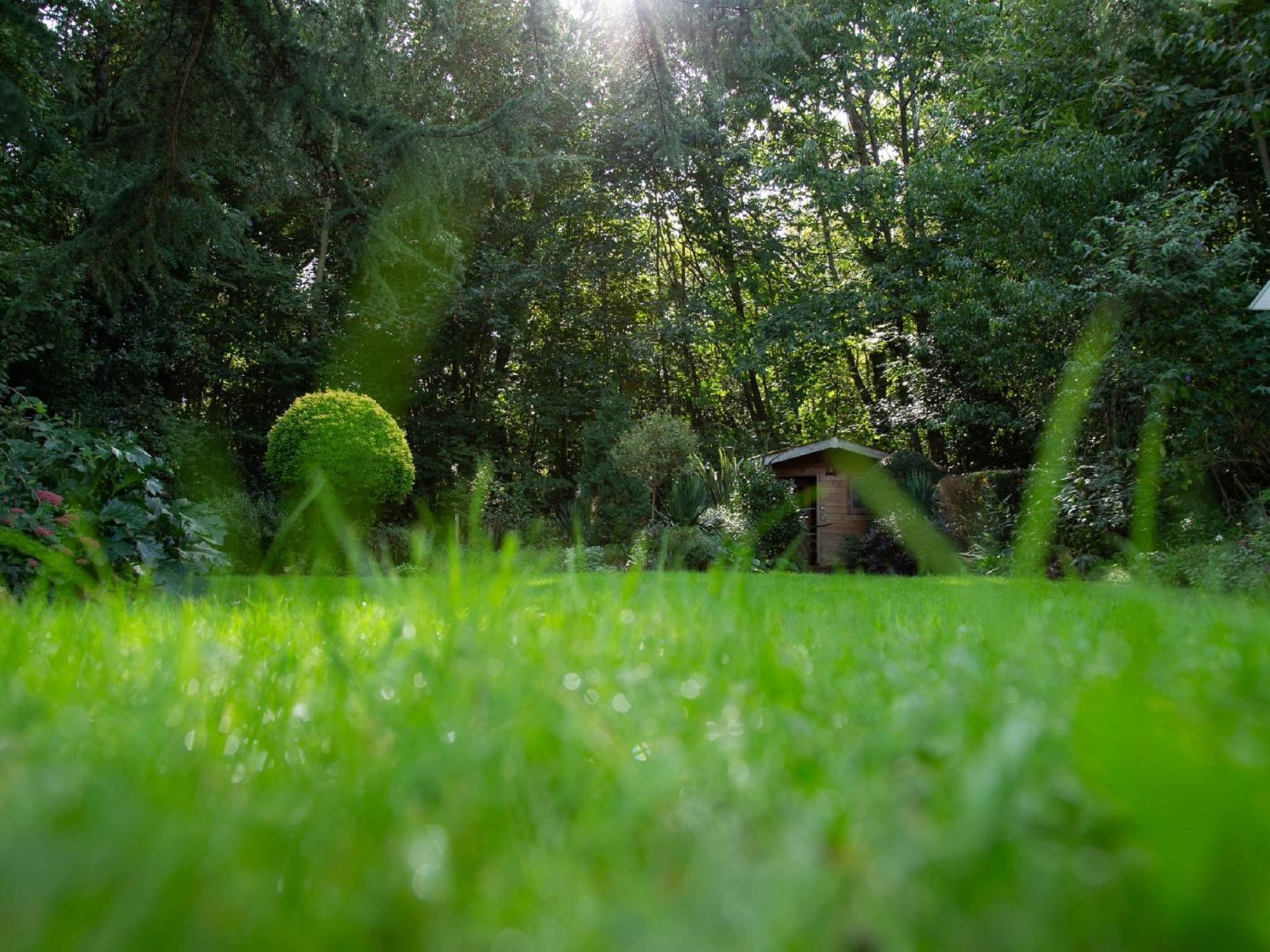 Le Nid Du Massereau Bouguenais Exteriér fotografie